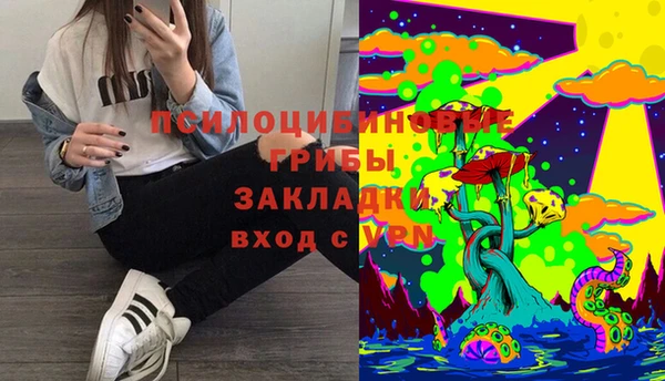 кокс Алексин