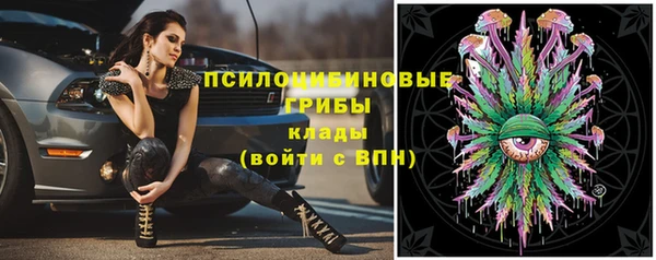 стаф Алексеевка