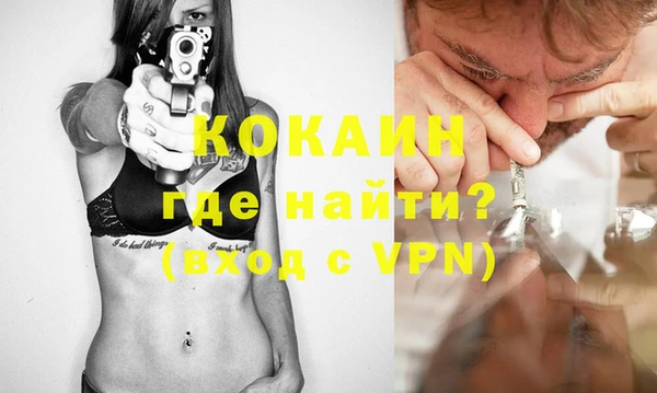 кокс Алексин