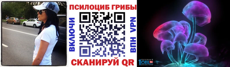 МЕГА онион где можно купить Полтавская Псилоцибиновые грибы Cubensis